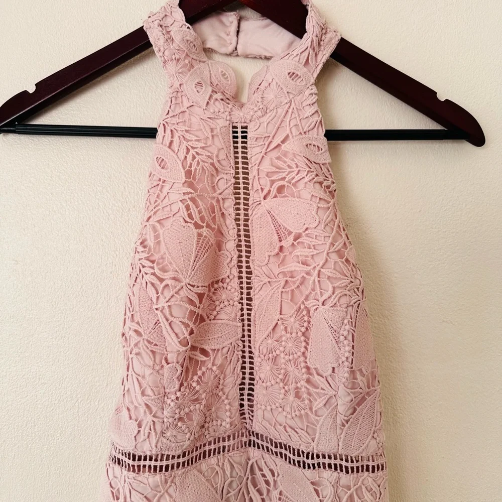 NEW Bardot Soft Pink Willow Floral Lace Dress - Picture 3 of 6